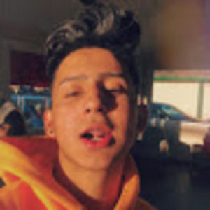 Meet your Posher, Bailey